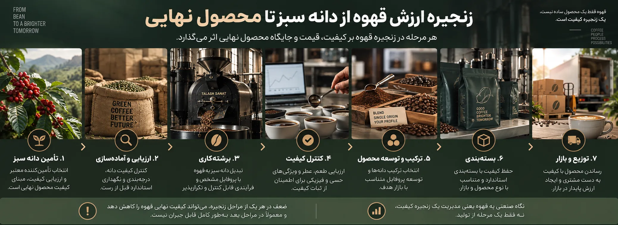 مراحل تولید و فرآوری قهوه از مزرعه تا رست